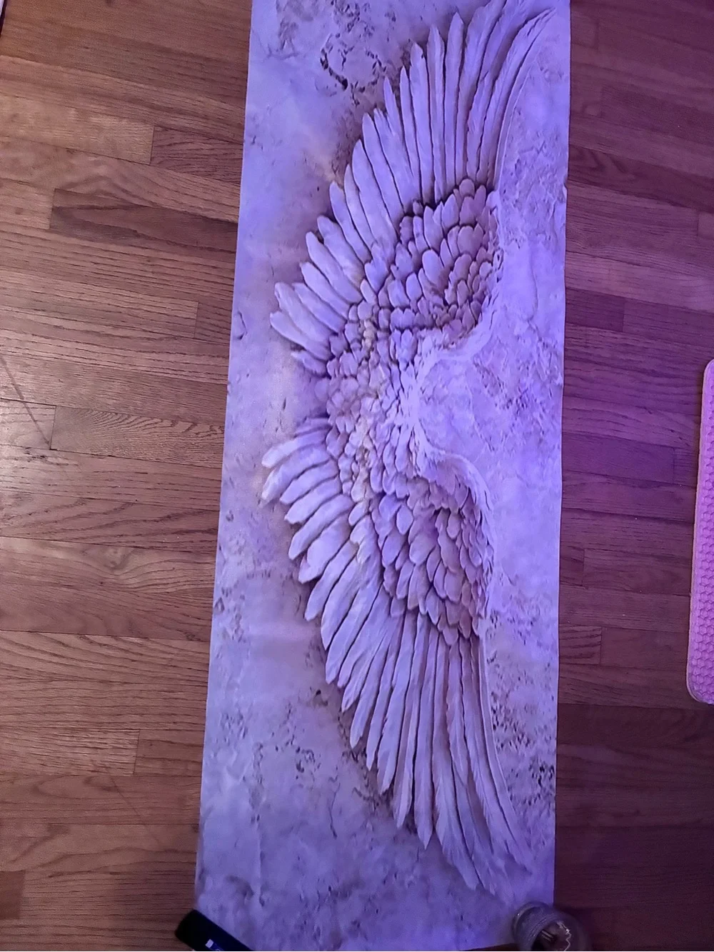 Angel Wing Wall Art Panel in Blush Pink - Unbranded